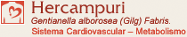 Hercampuri